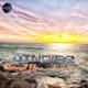 Eternal Flow Chill Mix Single