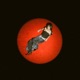 Potencial Single