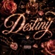 Destiny Single