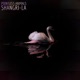 Shangri La Single