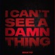 I CAN T SEE A DAMN THING Single