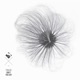 Don t You Cry feat Maria Opale Single