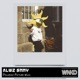 Polaroid Picture Mixes EP