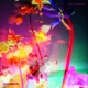 OMGarden Single