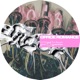 Office Romance Single