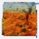 superbloom brompton remix Single