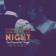 Night Remixes feat Meditelectro Single