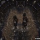 Blinding Them feat Z6king Single