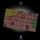 acidangel2k21 mixx feat tokold Single