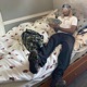 Long Day Single