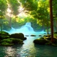 Forest Single