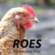 Wednesday Free Single
