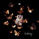 burberry Single