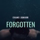 Forgotten Single