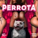 Perrota Single