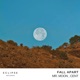 Fall Apart Single