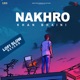 Nakhro Lofi Single