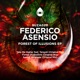 Forest of Illusions Single