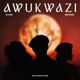 Awukwazi feat Dlala Thukzin Single