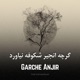 Garche Anjir feat Niloofar Darya Melody Single