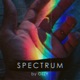 Spectrum EP
