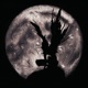 Exvalium Single