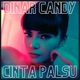 Cinta Palsu Single