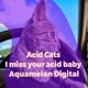 I Miss Your Acid Baby Single