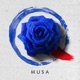 MUSA Single