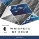 Whispers of Echo Single