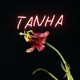 Tanha feat Royoto Single