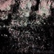 untitled 111625 Single