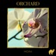 Orchard Single