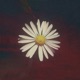 Saveyourself Single