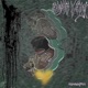 Never Know feat Temcandoanything Single