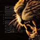 MAD LION Single