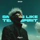 Smells Like A Teen Spirit Techno Single