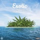 Exotic feat Ca hflo Marco Lil Maxxx Single