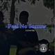 Feel No Sorrow Single
