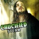 Steam Single