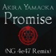 Promise Reprise NG 4e47 Remix Single