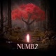 Numb 2 Single