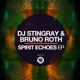 Spirit Echoes Single