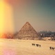 Pharaoh Single