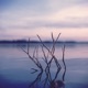 Somewhere to Belong Single