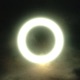 Flashlight feat BeatzbyNolan Single