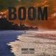 Boom feat Common Kings ARMARICK Remix Single