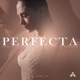 Perfecta feat Mr Don Vinny Rivera Johandy Jhonny Evidence Bachata Version Single
