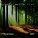 Forest Nature Song Single