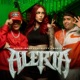 Alerta Single